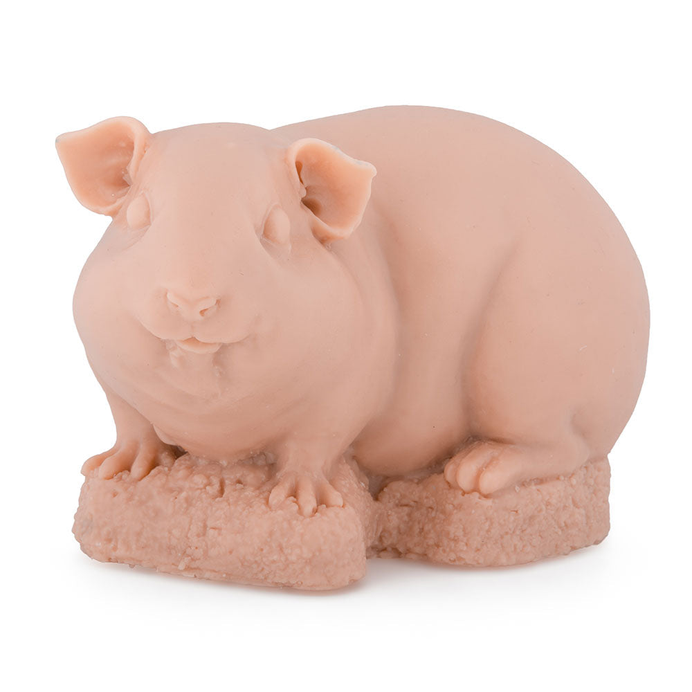 Guinea Pig