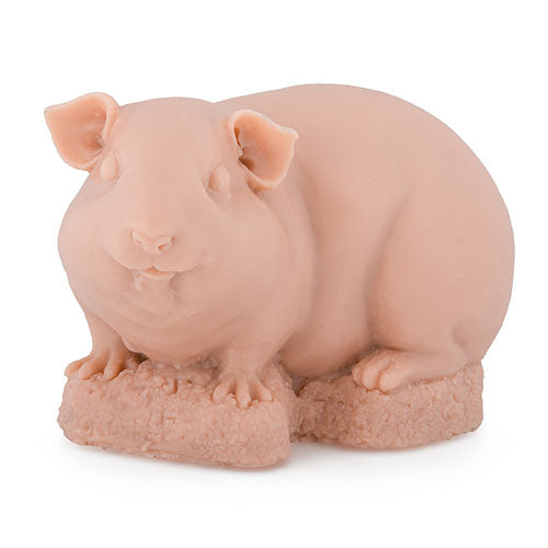Guinea Pig
